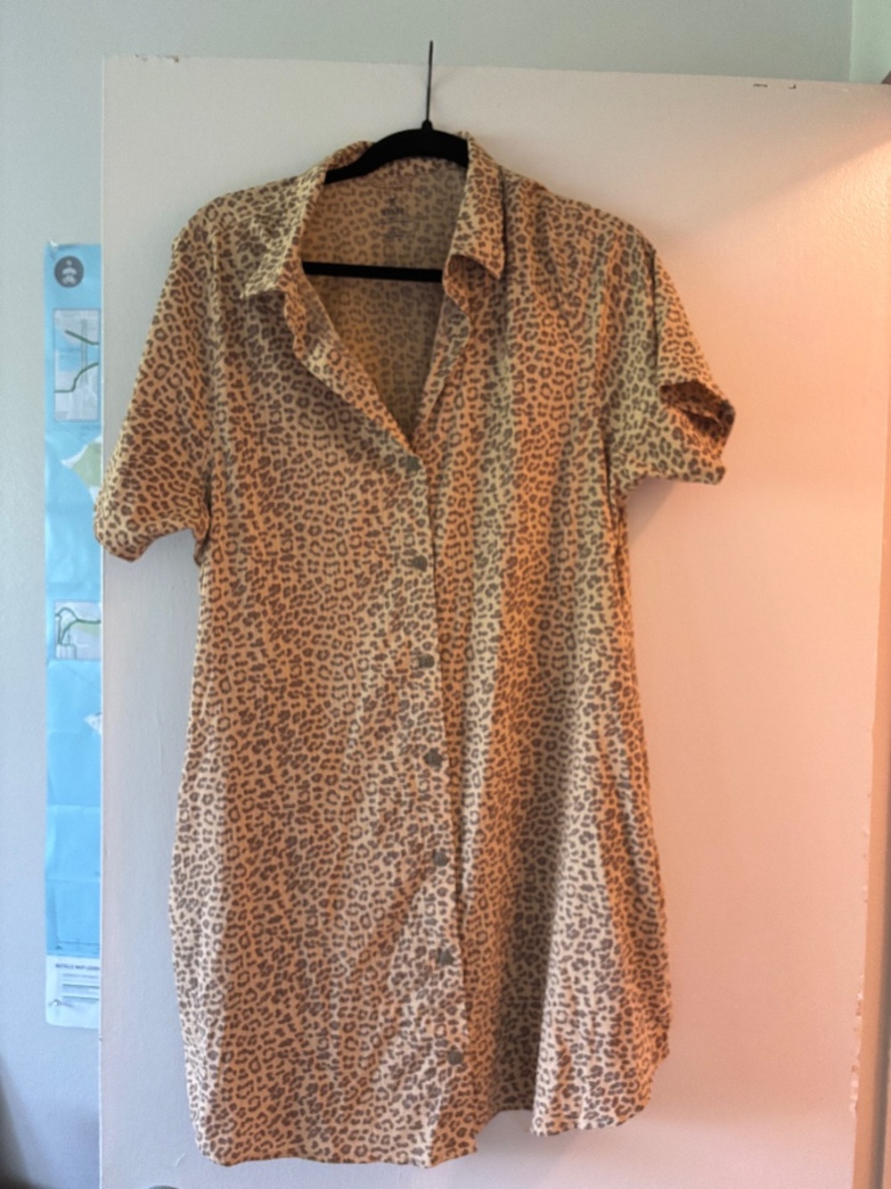 Roark Leopard print Bless Up dress